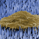 Image for article titled Tiny 'Nanoneedles' Could Help Your Damaged Organs Repair Themselves